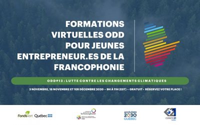 Formations virtuelles pour jeunes entrepreneur.es de la francophonie