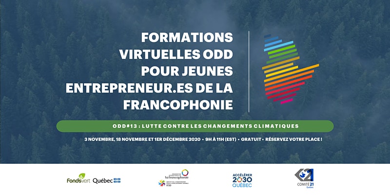 Formations virtuelles pour jeunes entrepreneur.es de la francophonie