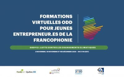 Formations virtuelles pour jeunes entrepreneur.es de la francophonie | Captations